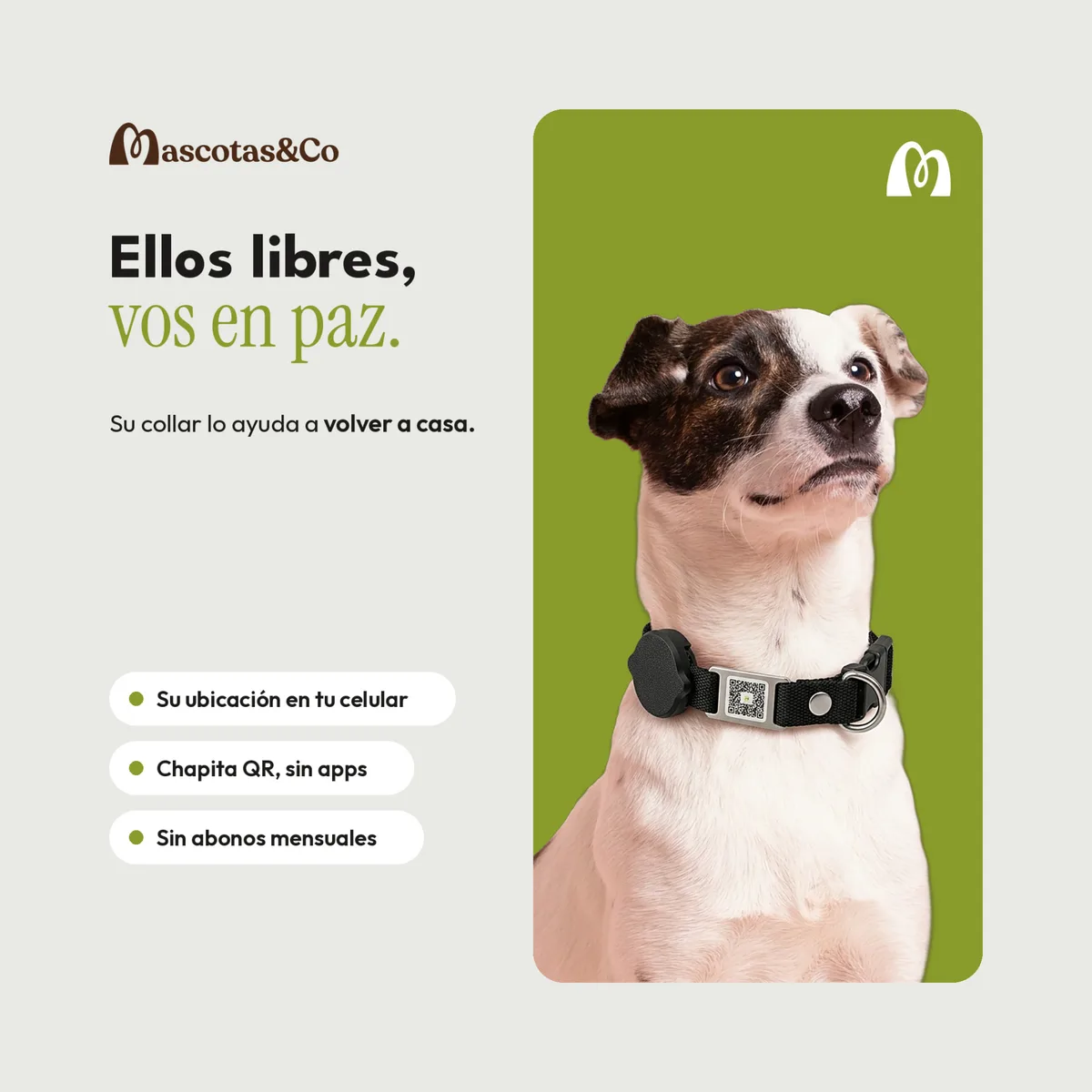 Collar rastreador negro puesto en un perro, con su soporte y la chapita de QR